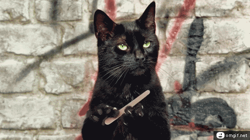 Films en series Rambo Gifs Filmsterren Arnold schwarzenegger Sylvester stallone first blood the terminator 