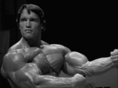 Buigen Gifs Filmsterren Arnold schwarzenegger sterk 