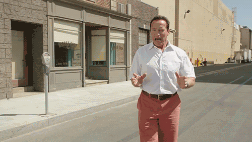 Grappig Gifs Filmsterren Arnold schwarzenegger funn 