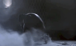Arnold Schwarzenegger GIF. Terminator Gifs Filmsterren Arnold schwarzenegger The terminator 