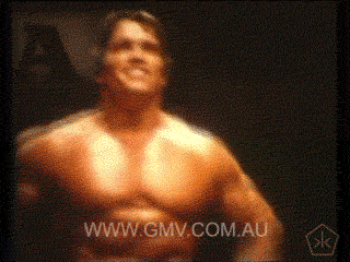 Gifs Filmsterren Arnold schwarzenegger terminator 2 Guns N Roses 