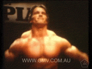 Bioscoop Gifs Filmsterren Arnold schwarzenegger Claire danes terminator 3 
