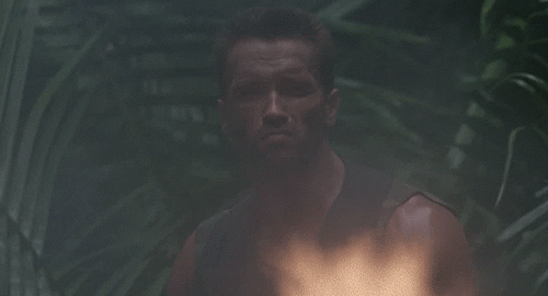 Gifs Filmsterren Arnold schwarzenegger verrassing schok conan the barbarian bruingeel 