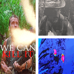 Arnold Schwarzenegger GIF. Bioscoop Film Terminator Gifs Filmsterren Arnold schwarzenegger Scifi James cameron Terminator 2 Ter 