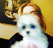 Ashley Benson GIF. Gifs Filmsterren Ashley benson Ashley benson s Ashley benson set 