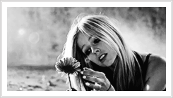Avril Lavigne GIF. Artiesten Avril lavigne Gifs Spul 