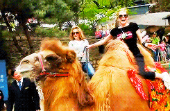 Artiesten Avril lavigne Kus Gifs 