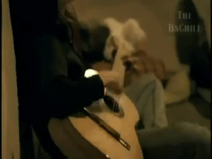 Avril Lavigne GIF. Beroemdheden Artiesten Avril lavigne Gifs 