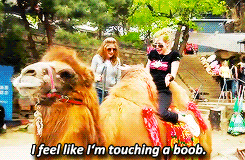 Avril Lavigne GIF. Artiesten Avril lavigne Gifs Girlfriend 