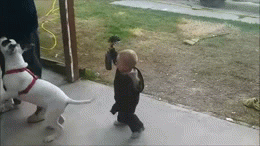 Baby GIF. Baby Gifs Slaap Aziatische baby Schattigste ding ooit 