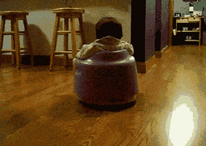 Baby GIF. Baby Maanden Gifs Ex Reactiongifs 