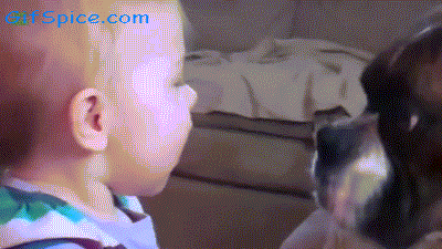 Puppy Baby Kisses Gifs geven aww schattigste 
