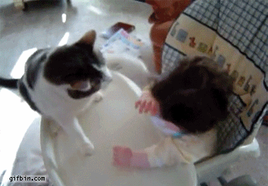 Baby Gifs dans 