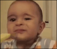 Olifant GIF. Dieren Olifant Baby Links Gifs Kant 