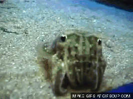 Baby GIF. Baby Gifs Vreemd Grootmoeder Mayonaise 