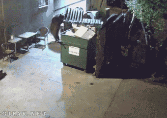 Baby Gifs  broodje Daehyun jung Daehyun regen geluid bitsori 