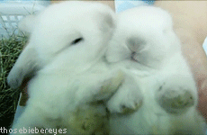 Baby GIF. Tien Baby Gifs Heet A Arts die David tennant Tiende arts Dw Hij is zo schattig Dw cast 