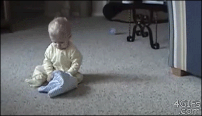 Dieren Verward Baby Tijger Gifs welpen 