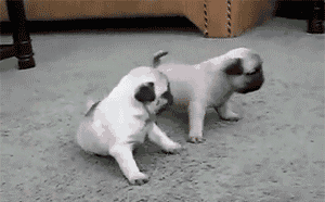 Baby GIF. Vallen Baby Rick Gifs Cartoons en comics Avontuur tijd Cartoon network Bmo Zeepbel Moed 