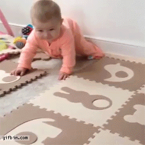 Dieren Baby Gifs Hond teckel photobomb 