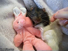 Baby GIF. Liefde Baby Gifs Gif Perfect &eacute;&eacute;n richting Harry stijlen 1d &eacute;&eacute 