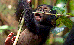 Baby GIF. Baby Gifs Vrolijkheid Cory monteith 