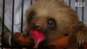 Baby GIF. China Baby Gifs Metro Taiwanese animatie Nmatv Openbaar vervoer Vandalisme Plassen Toer 