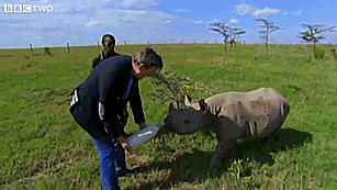 Baby Gifs eend eendje 