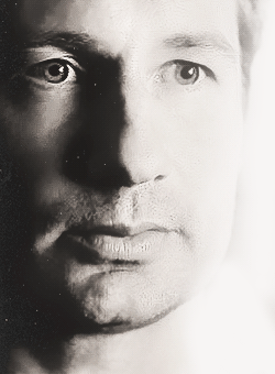 Tien Baby Gifs heet a arts die David Tennant tiende arts dw Hij is zo schattig dw cast 