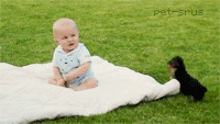 Baby GIF. Jongen Baby Gifs Fuck u Middelvinger 