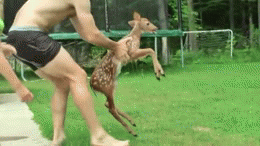 Baby GIF. Tien Baby Gifs Heet A Arts die David tennant Tiende arts Dw Hij is zo schattig Dw cast 