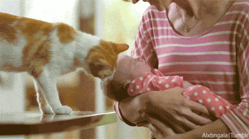 Vallen Schattig Baby Gifs Hadouken 