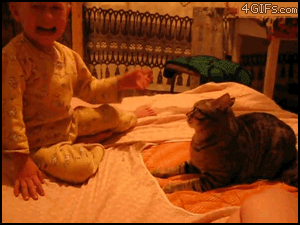 Baby GIF. Dieren Olifant Baby Gifs 