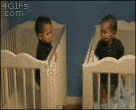 Baby GIF. Dieren Olifant Baby Zwembad Gifs 