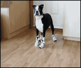 Baby GIF. Bang Baby Vita Gifs  Geanimeerde Playstation Tonen Bezorgd Af Bevoegdheden Het wachten 