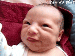 Dieren Schattig Baby Schommel Gifs Hond 