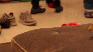 Baby GIF. Baby Gifs Parken en rec 