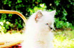 Baby GIF. Schattig Baby Sexy Gifs  &eacute;&eacute;n richting Louis tomlinson Zayn malik Liam payne 