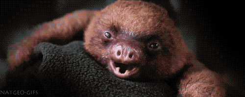 Baby Star trek Gifs  zoet Star Trek Into Darkness jim kirk Captain Kirk james kirk IDST 