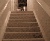 Baby GIF. Baby Gifs Gelukkige verjaardag Freecocaine Ava gardner 