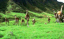 Baby GIF. Baby Star trek Gifs  Zoet Star trek into darkness Jim kirk Captain kirk James kirk Idst 