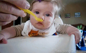 Baby GIF. Dieren Olifant Baby Gifs 