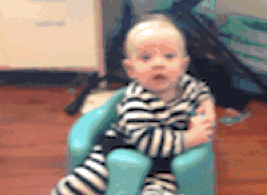 Baby GIF. Dieren Panda Baby Gifs Dragen 