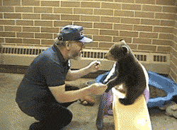 Baby GIF. Baby Engel Prinses Gifs Miss een Jia Gif: missen Ik bracht 80 jaar het verplaatsen 