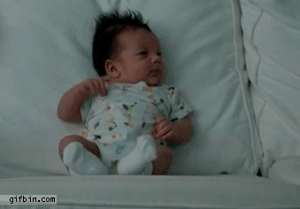 Dieren Baby Kinderen Voedsel Gifs Hond likken bruto ge&iuml;nteresseerd 