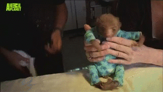 Schattig Demi lovato Baby Gifs mooi lach aw schattig gif lach gif Demi Lovato gif lova 
