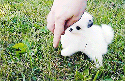 Baby GIF. Huilen Baby Voedsel Gifs Verdrietig Het eten Ew Walging 