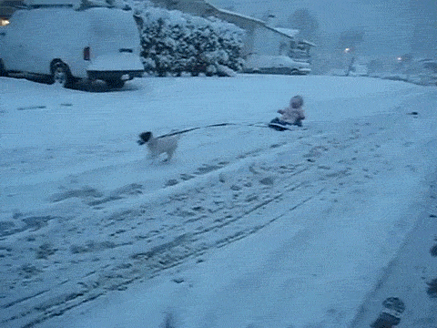 Baby Gifs 
