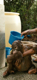 Baby GIF. Baby Star trek Gifs  Zoet Star trek into darkness Jim kirk Captain kirk James kirk Idst 