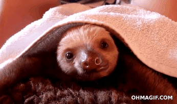 Baby Gifs reactie aanbiddelijk reactie gezicht 